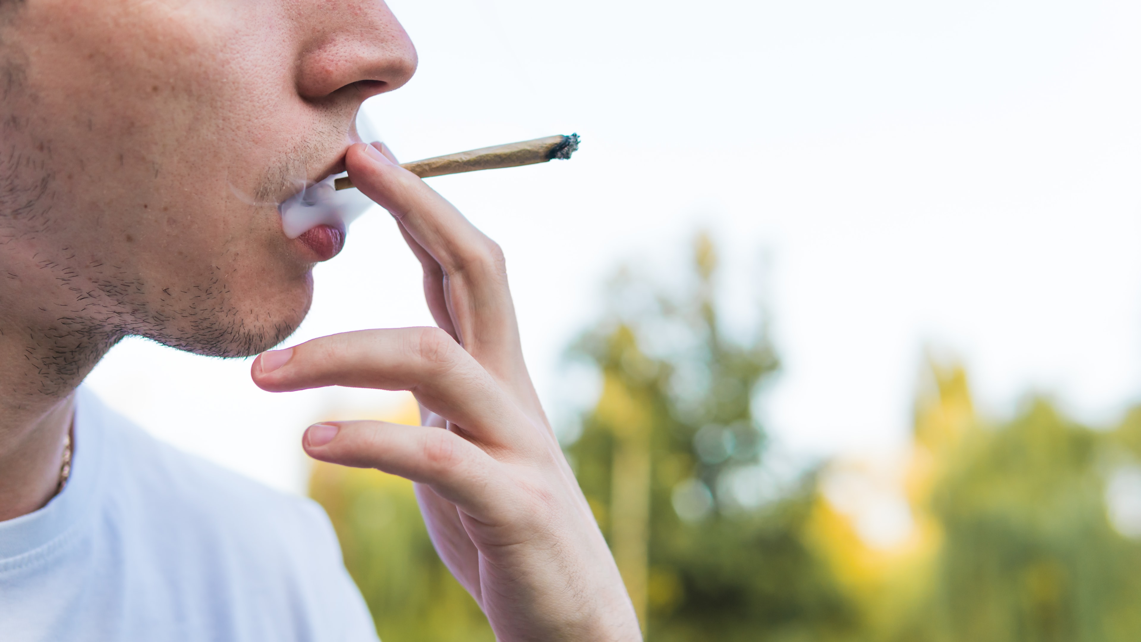 THCA Flower: A Traditional Cannabis Experience, Legally
