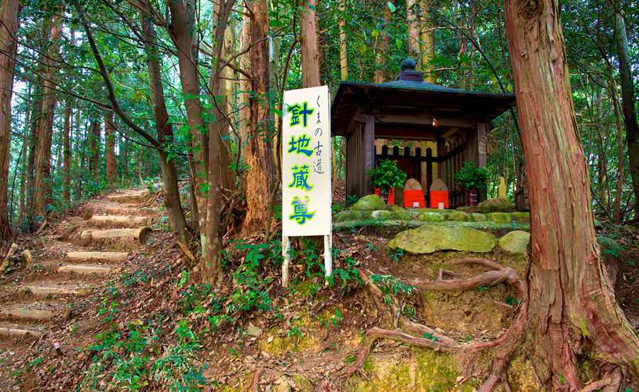 Kumano Kodo Trail, photo via The Blue Dot Perspective