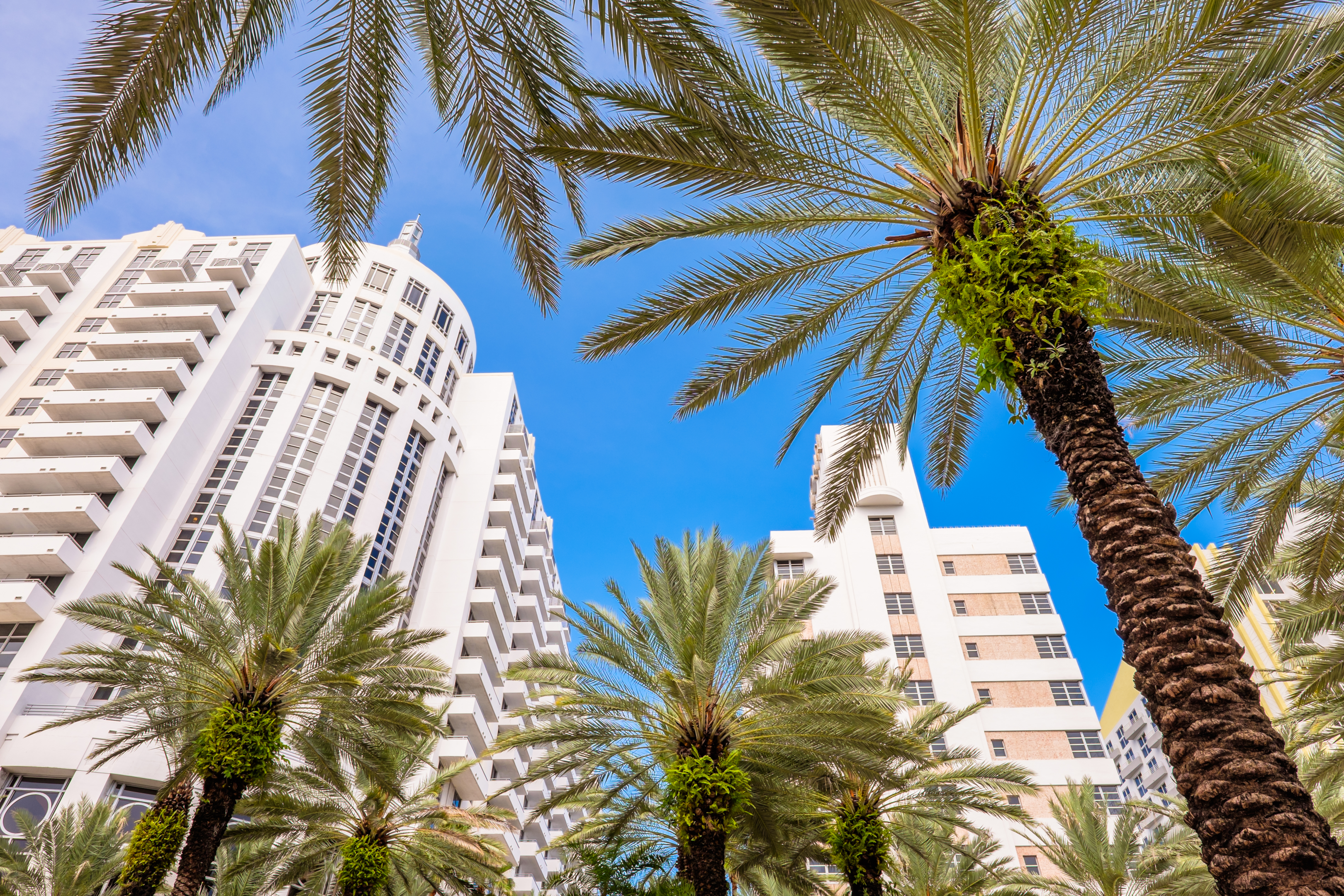 Loews Miami Beach Hotel with palm trees and blue skies in South Beach Florida