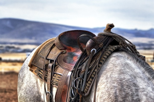 saddle, horse, cowboy, real estate, real estate market, low median listing price, real estate investment, market values reflect increasing value, selling real estate, investment properties, Yellowstone National Park, Montana State University, employment growth, increasing current median home value, increasing home values, increasing profit margins, railroad town, increasing demand and low price tags, low inventory of housing, outdoor enthusiasts, current residents continue thriving, property investing, Big Mountain, best cities for investment in Montana, new residents of Montana, Montana University, low unemployment rate