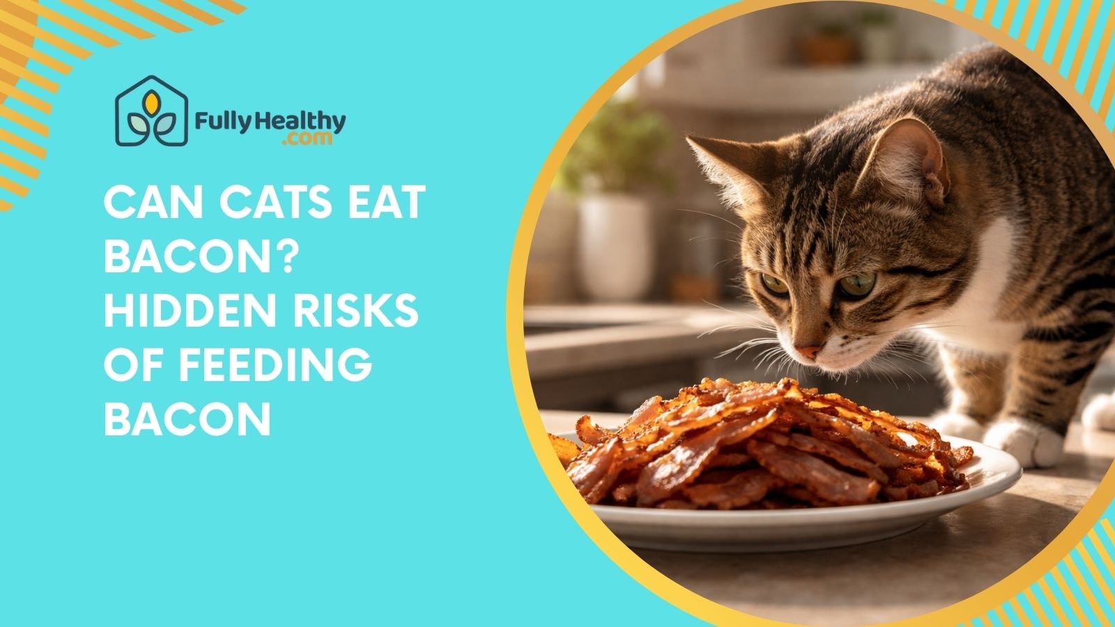 Can Cats Eat Bacon? Hidden Risks of Feeding Bacon
