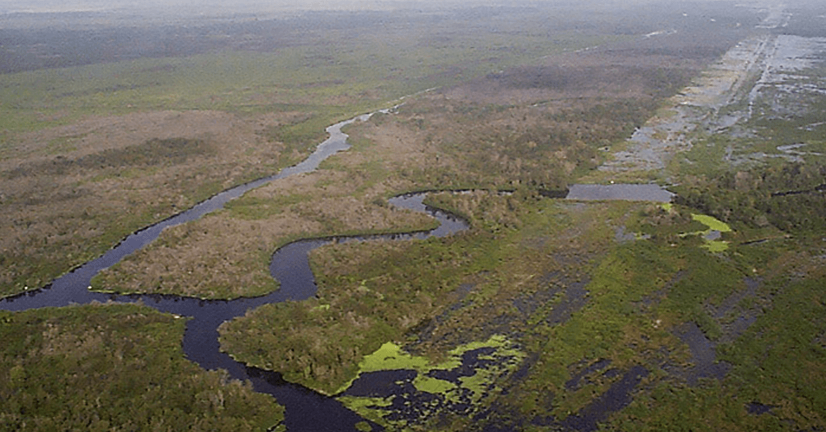 Kiewit Wins Army Everglades Restoration