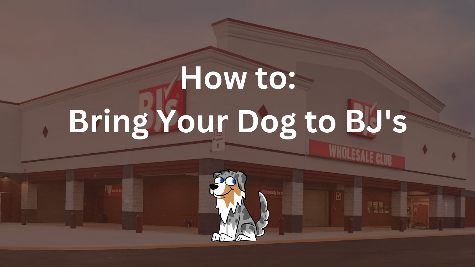 Image Text: "How to Bring Your Dog to BJ's"