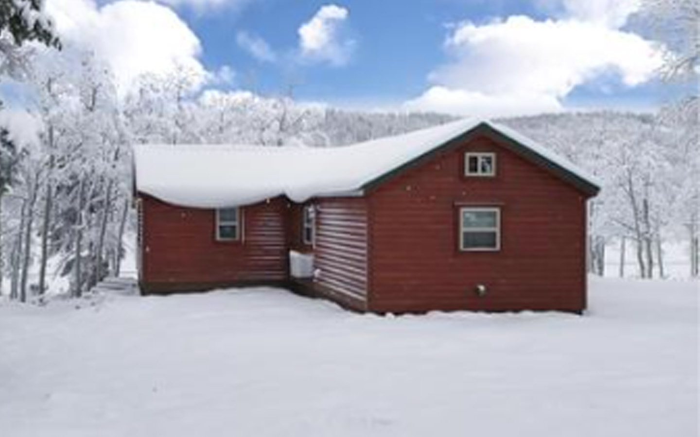 beautiful home, Leland's cabin company, log cabins with split cedar log siding