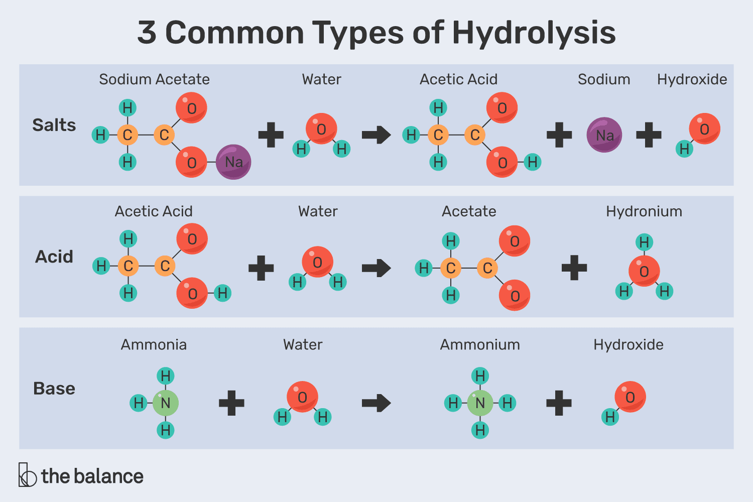 3 Common Types of Hydrolysis