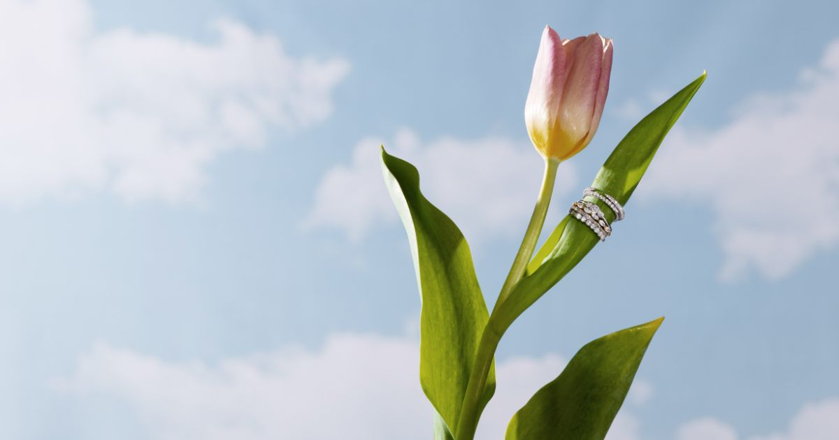 Clean Origin Lab Grown Diamond Rings and Bands