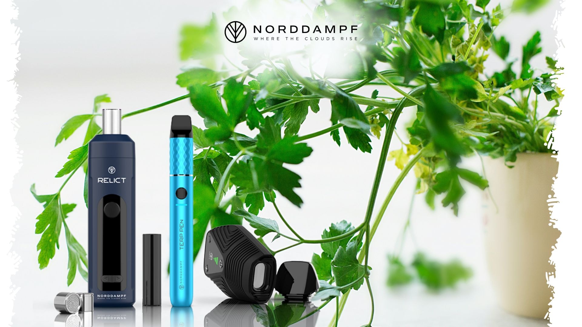 Verwende deinen Vaporizer mit natürlichen Kräutern
