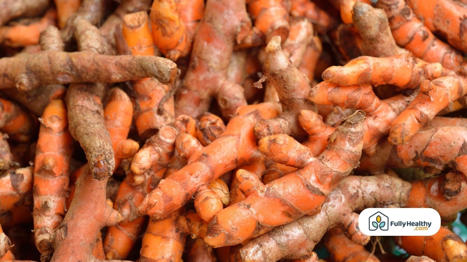 Pile of fresh turmeric roots with Fully Healthy branding label