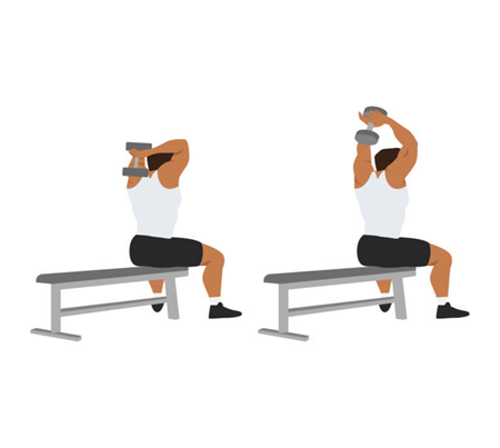 long head tricep exercises, head of the triceps