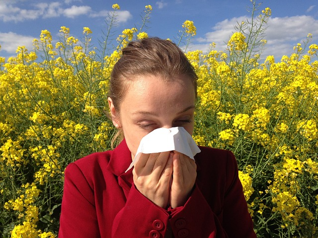 An image of a woman with seasonal allergies blowing her nose with bushes of yellow flowers in the background.