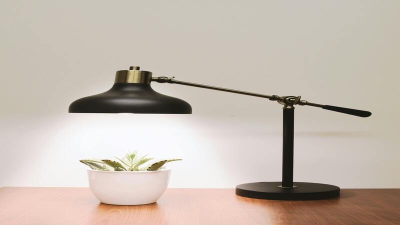 Desk lamp casting E14 bulb light on a plant