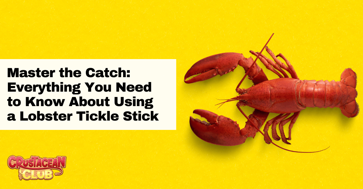 Master the Catch: Everything You Need to Know About Using a Lobster Tickle Stick 