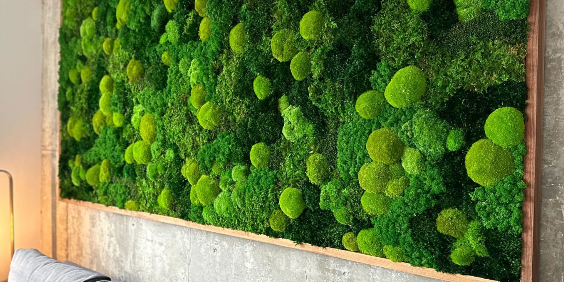 Moss Walls And Vertical Gardens