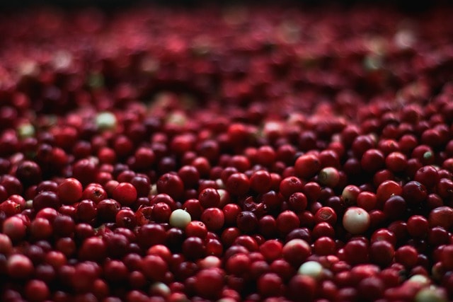 berries, cranberries, red