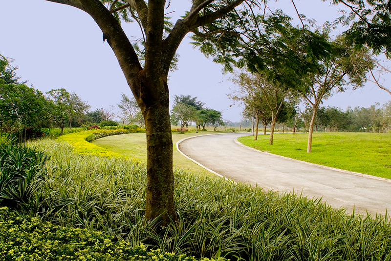 Photo of a road inside the luxury community of Portofino Alabang