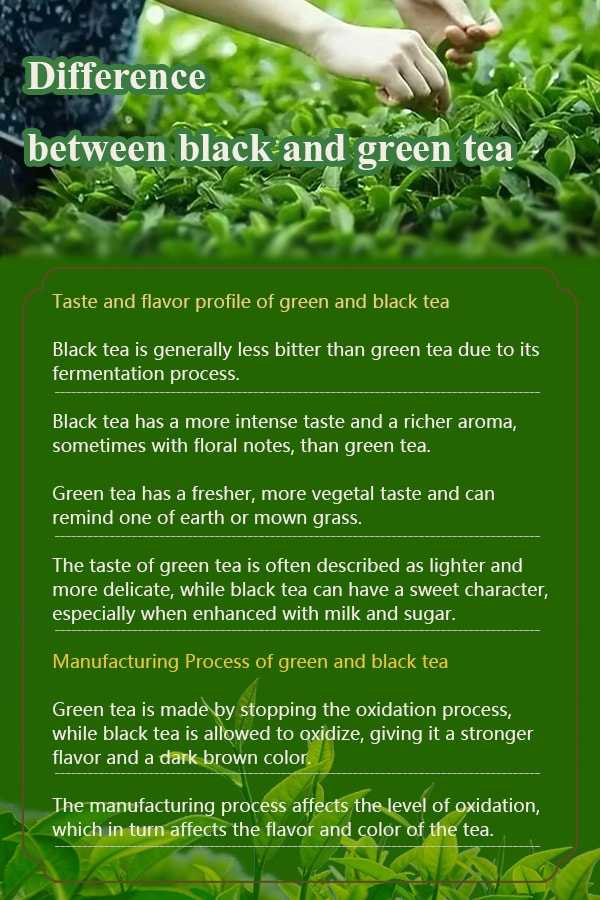 Difference between black and green tea