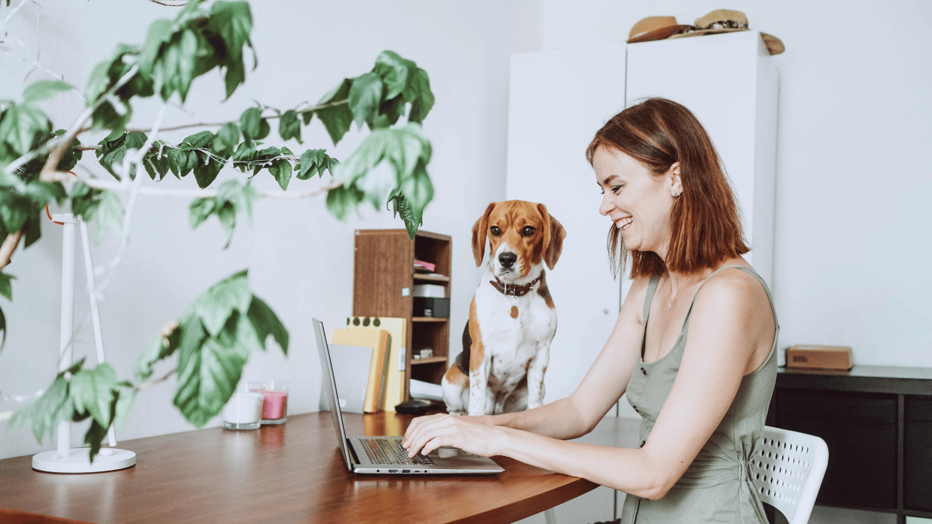 Gen Z renters navigate university listings to find affordable rent and suitable roommates.