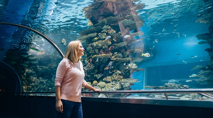 A lady enjoying the aquarium in San Diego.