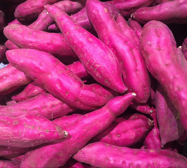 sweet potato, red-purple, vegetable