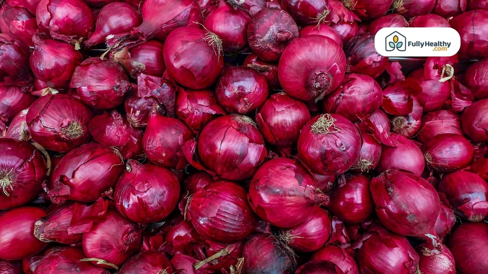 Close-up of red onions with papery skins