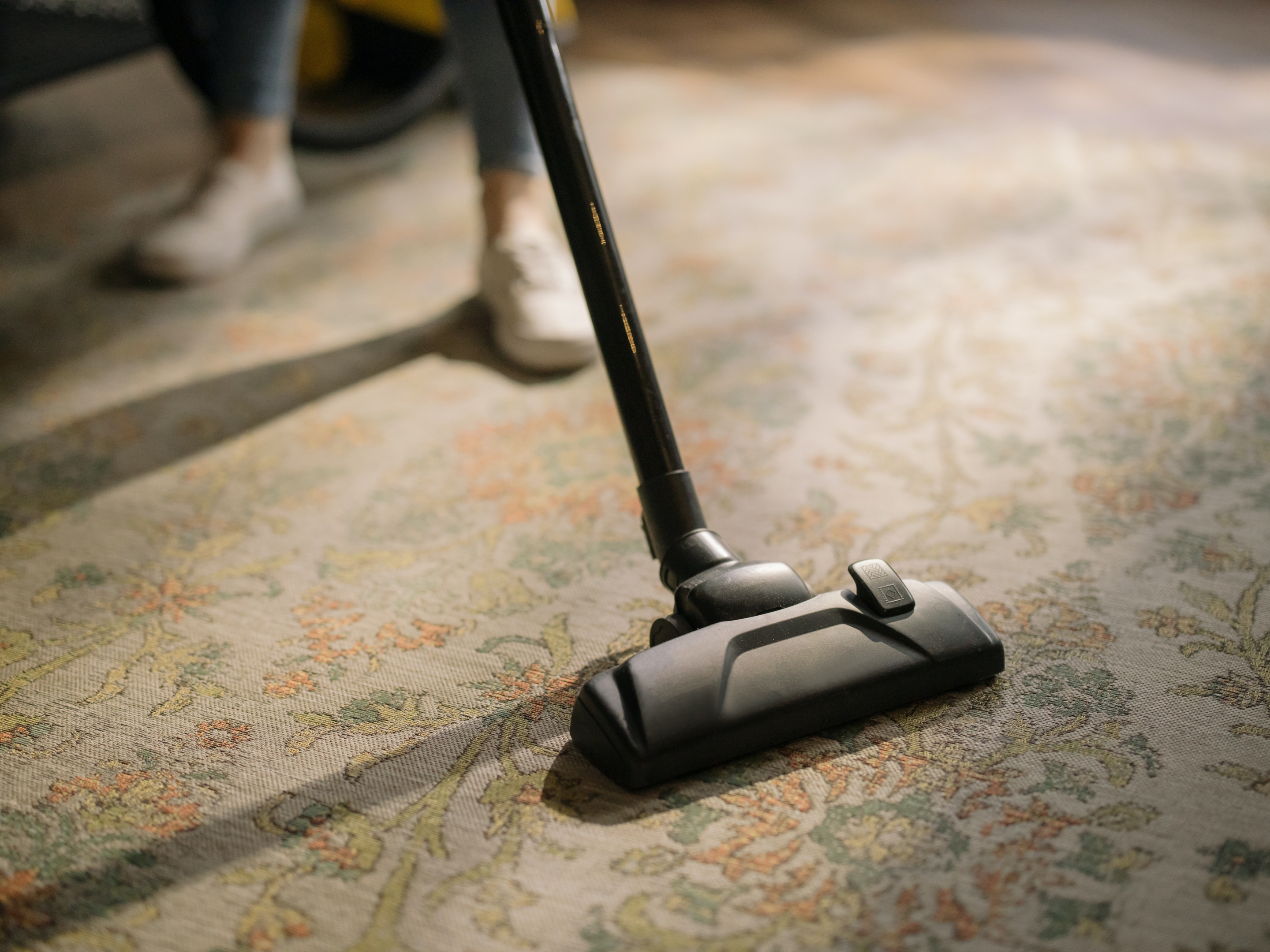The Rug Doctor will keep your home healthy | Photo from Pexels Website