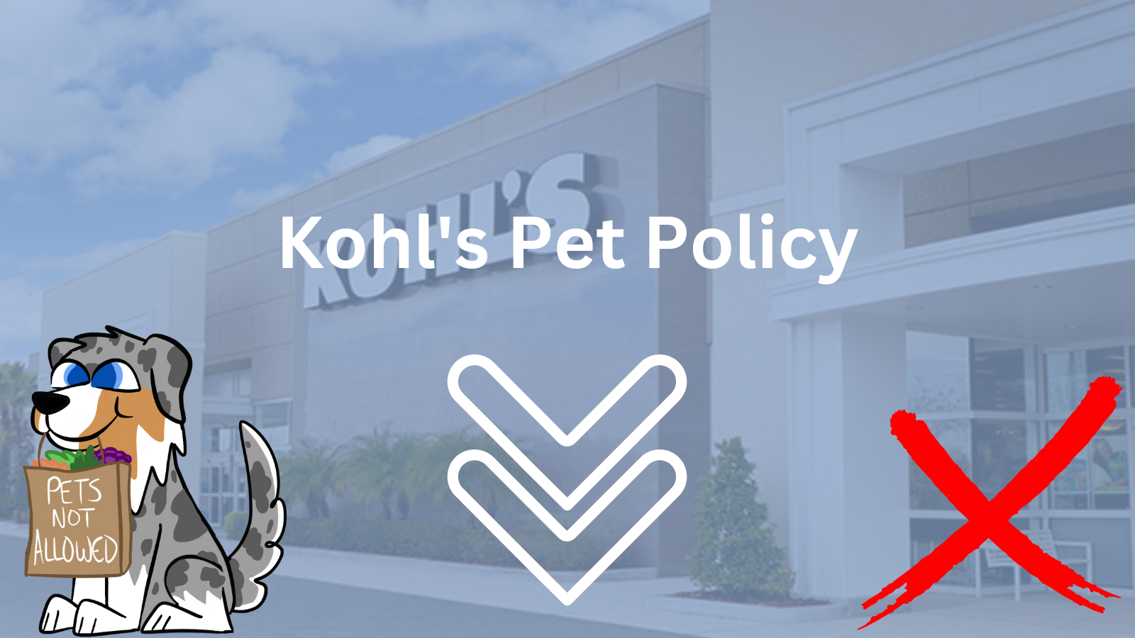 Image Text: "Kohl's Pet Policy"