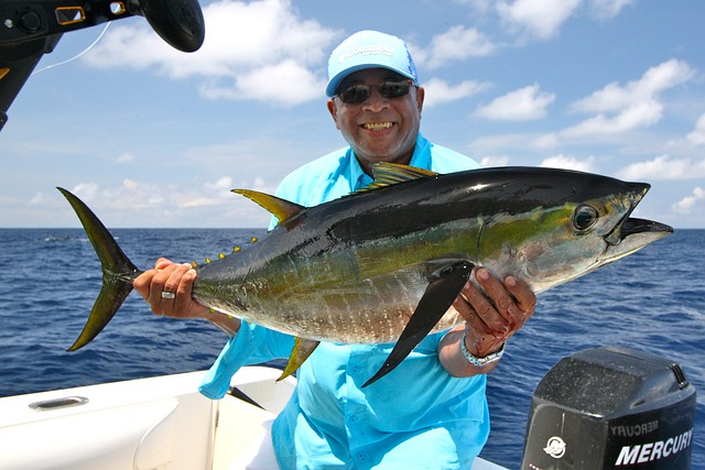 yellowfin tuna, yellowtail snapper, farmed yellowtail, wild yellowtail, yellowtail species, fishing vessel, south florida