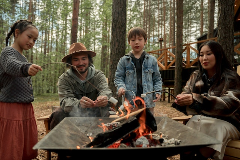 choose the best campfire spray