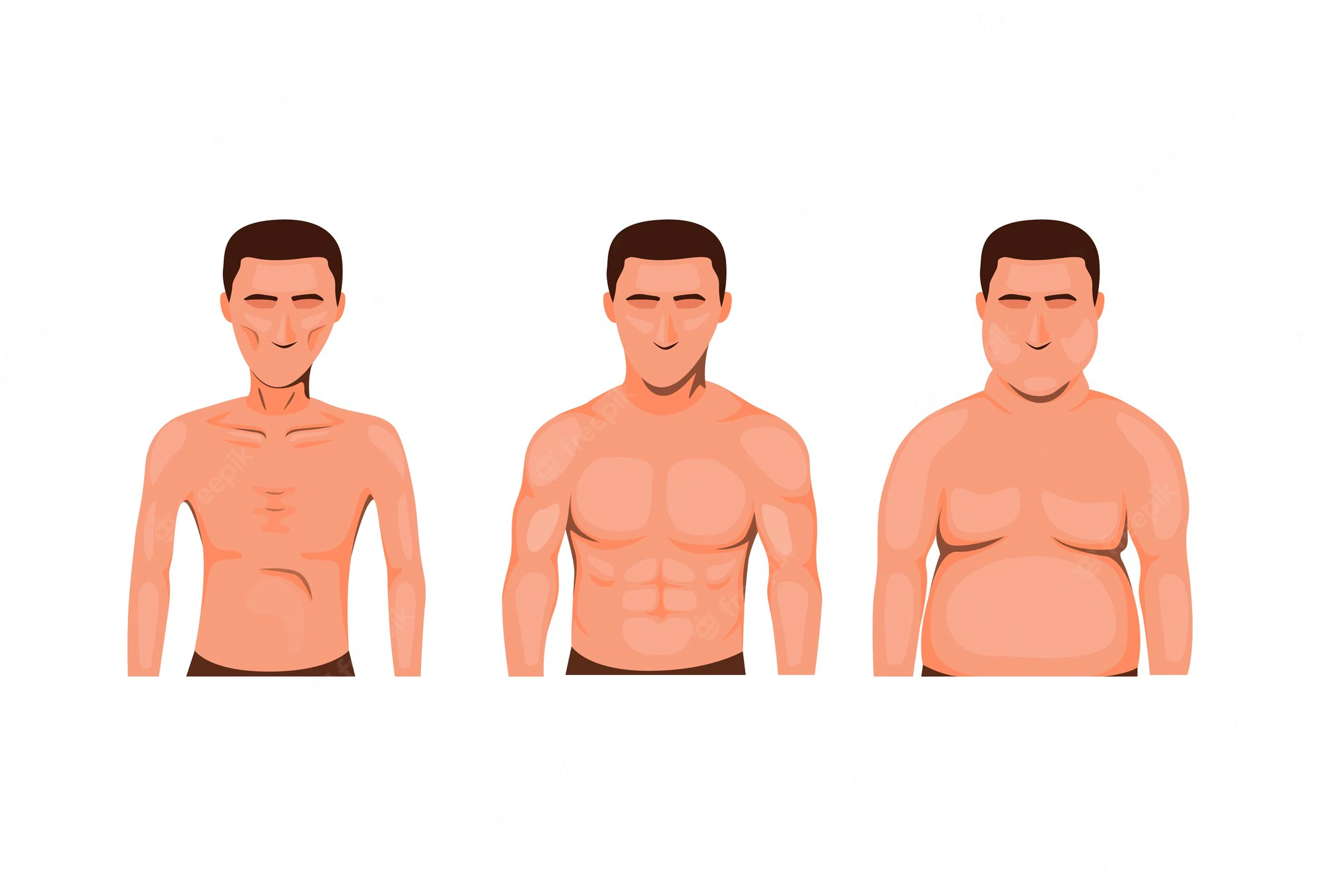 Symptoms of Low Testosterone 8 Source: FreePik - Male Body Types