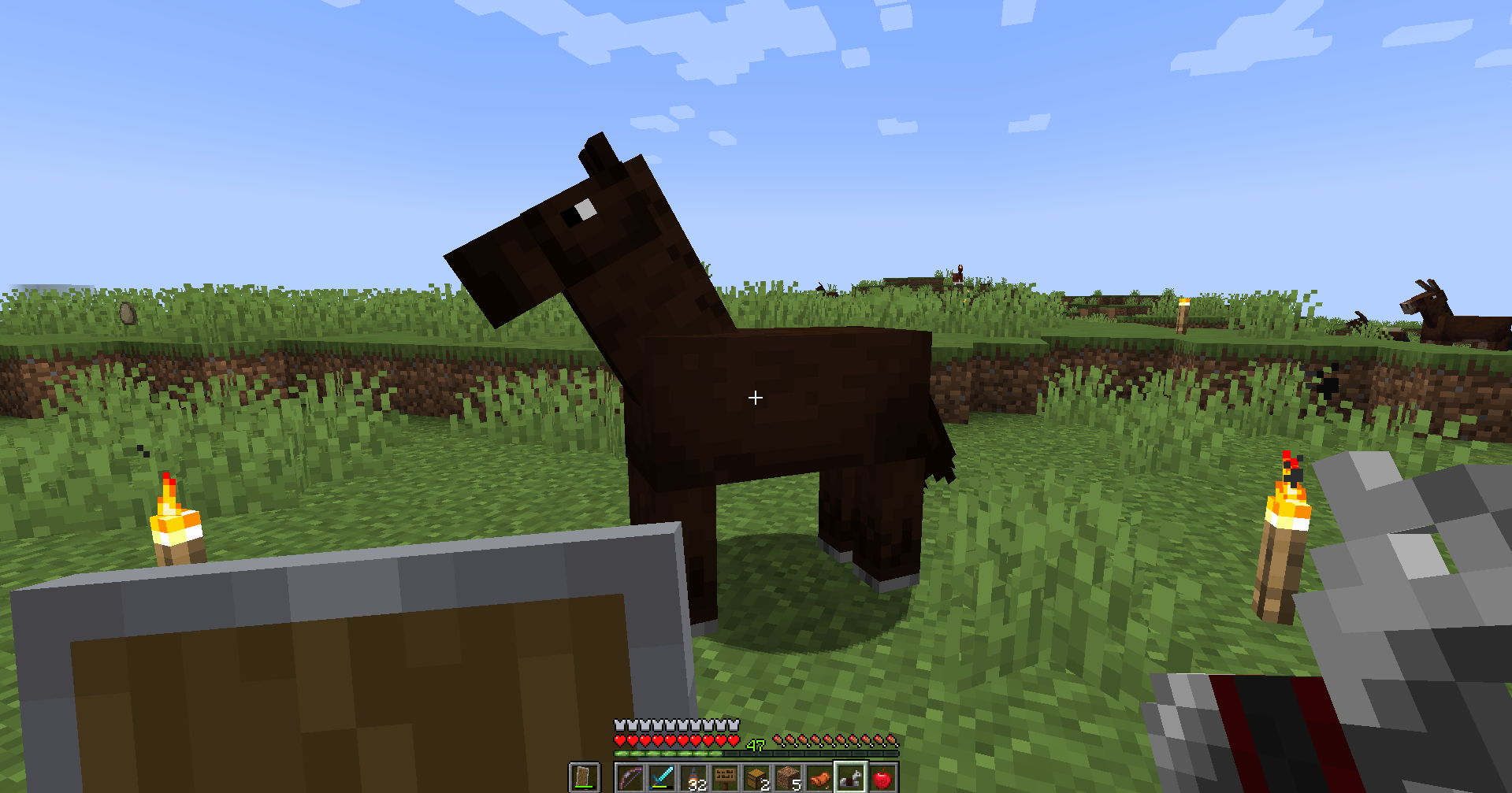 A horse with no armor.