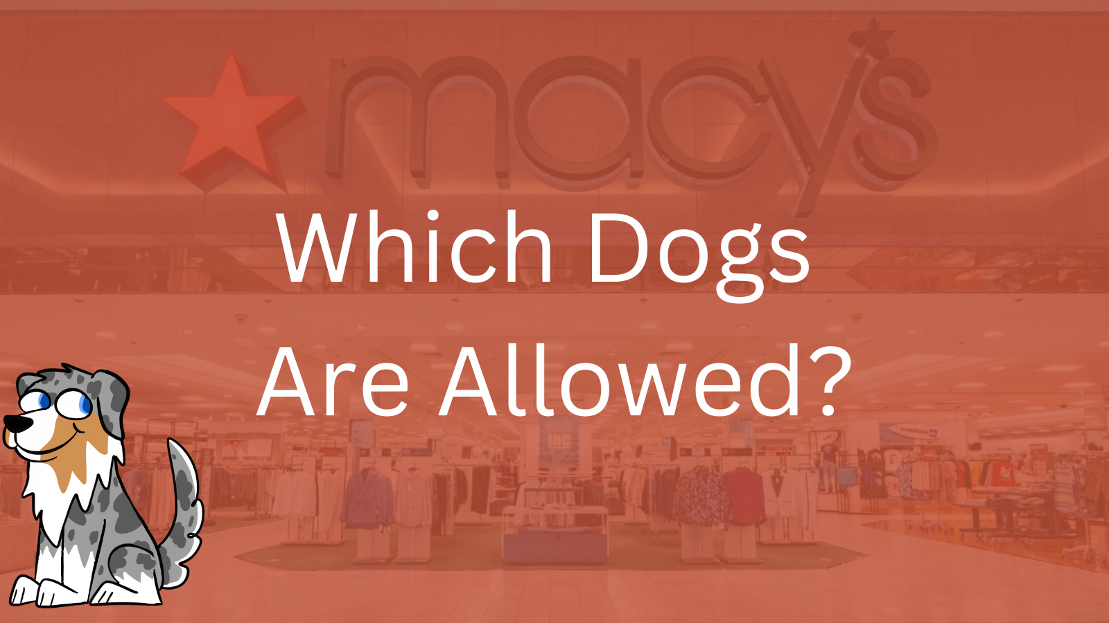 Image Text: "Which Dogs Are Allowed?"