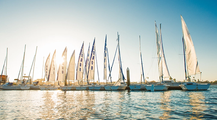 Sailboats close to San Diego.