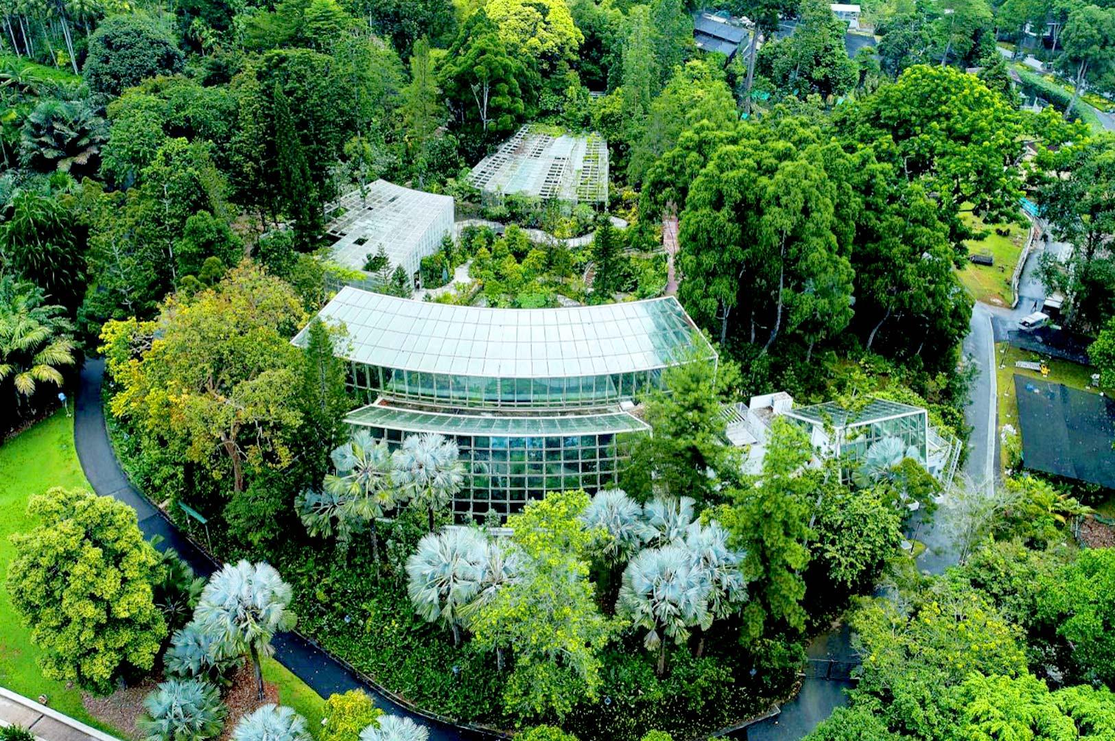 Aerial view of National Orchid Garden surrounded by lush greenery