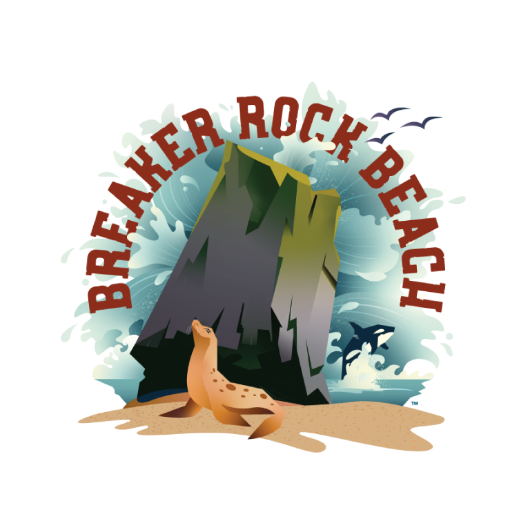 Fun VBS Curriculum That Will Make a Splash This Summer! - REACHRIGHT