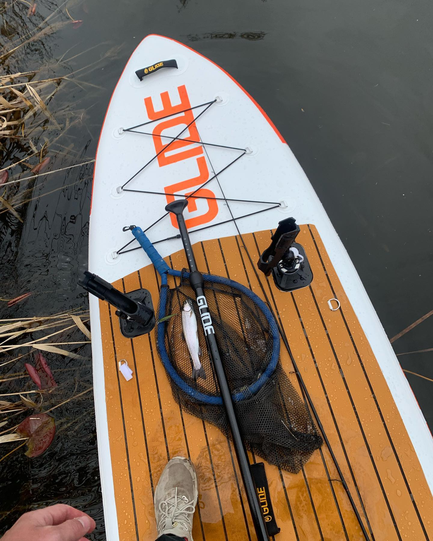 thick fins review of world class accessories