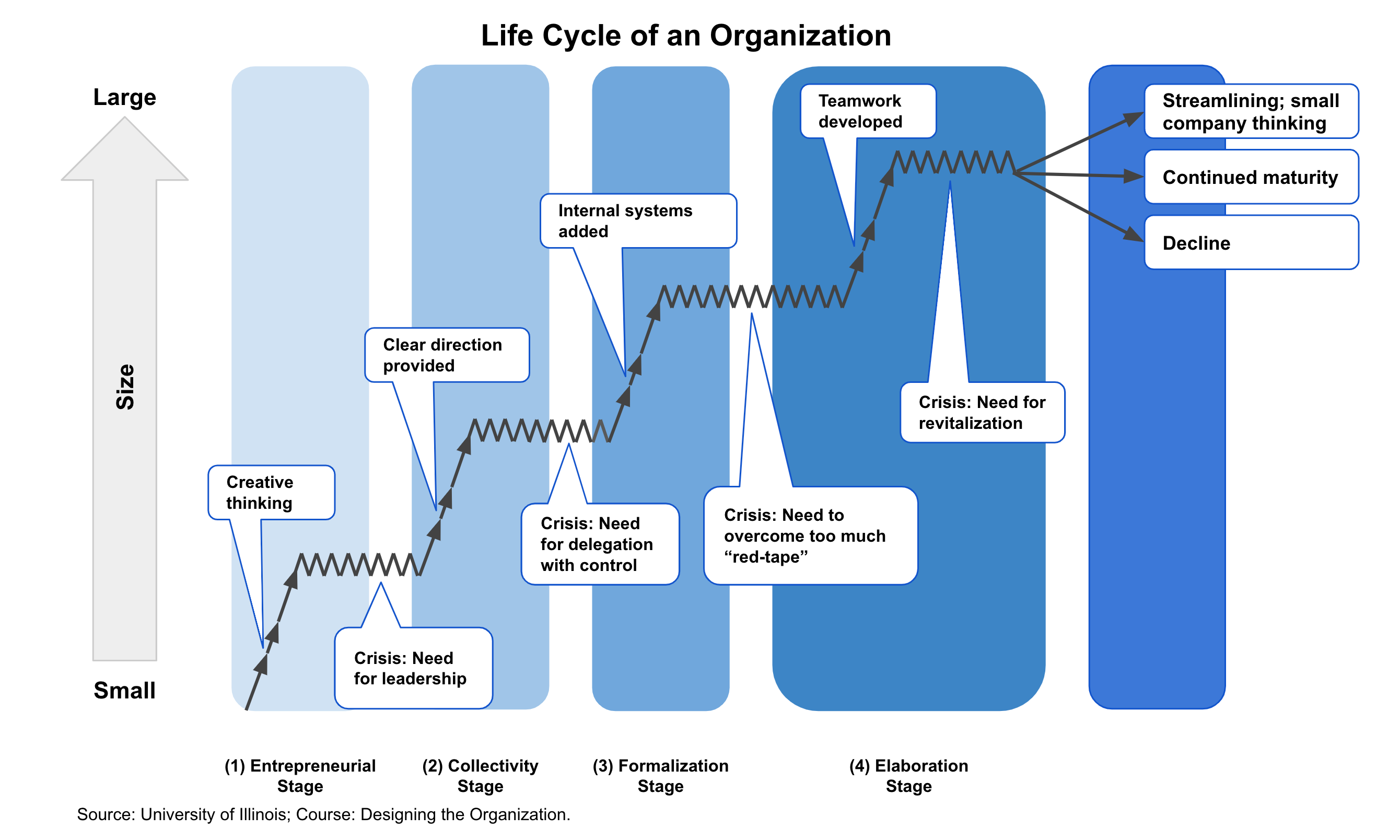 Lifecycle of an organization