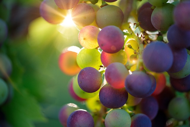 Grape Agate