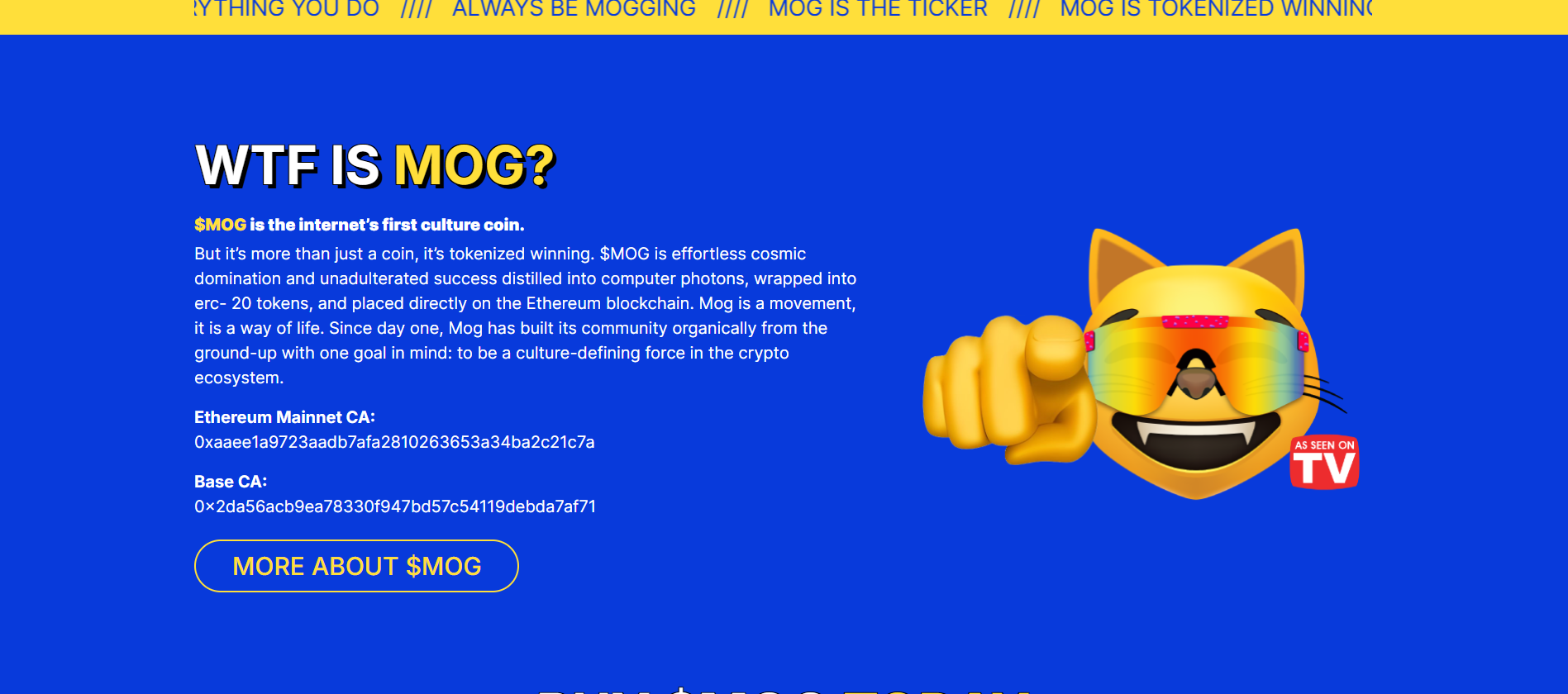 About Mog coin