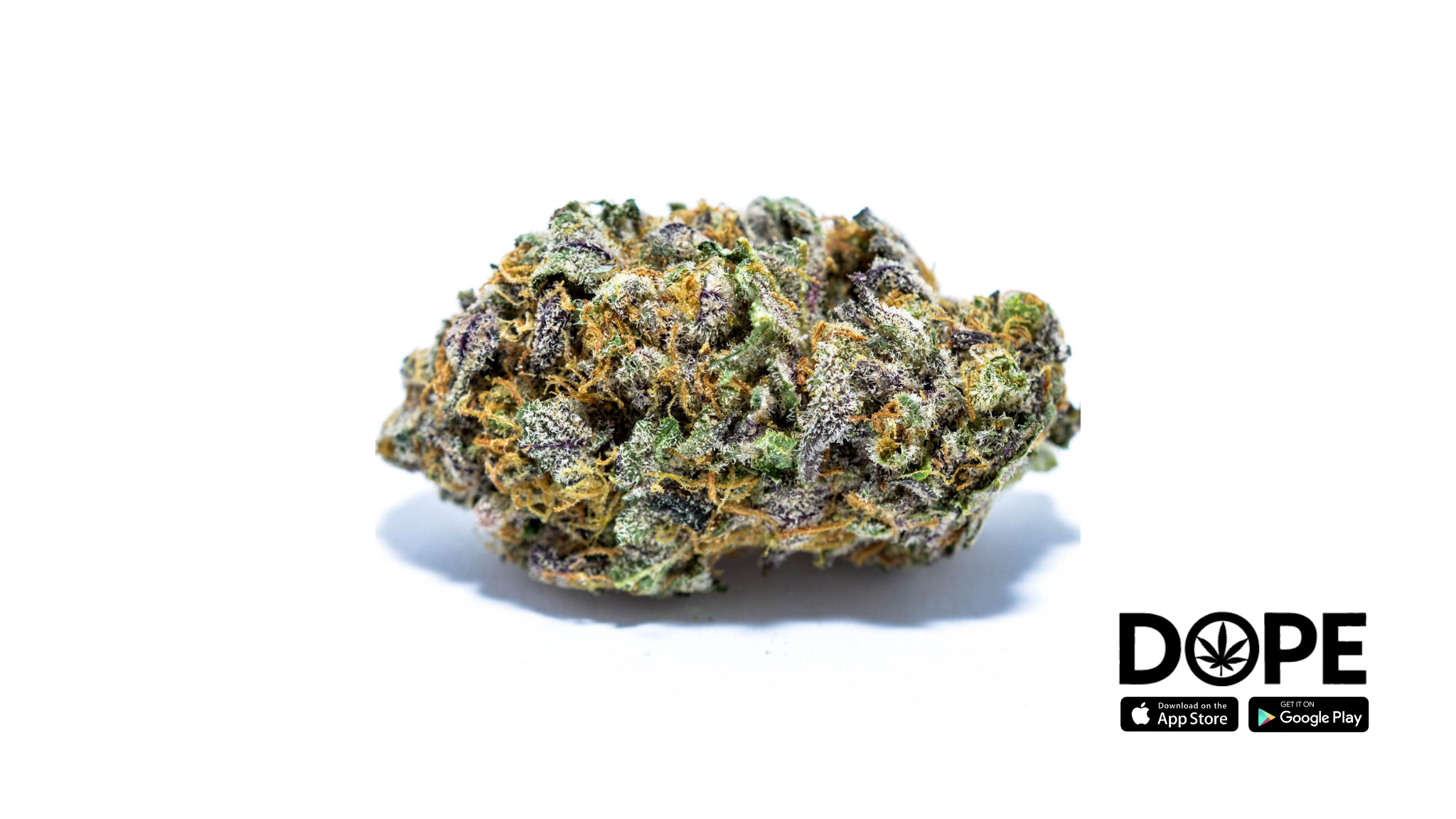 Granddaddy Purple cannabis strain buds, known for their deep relaxation effects.