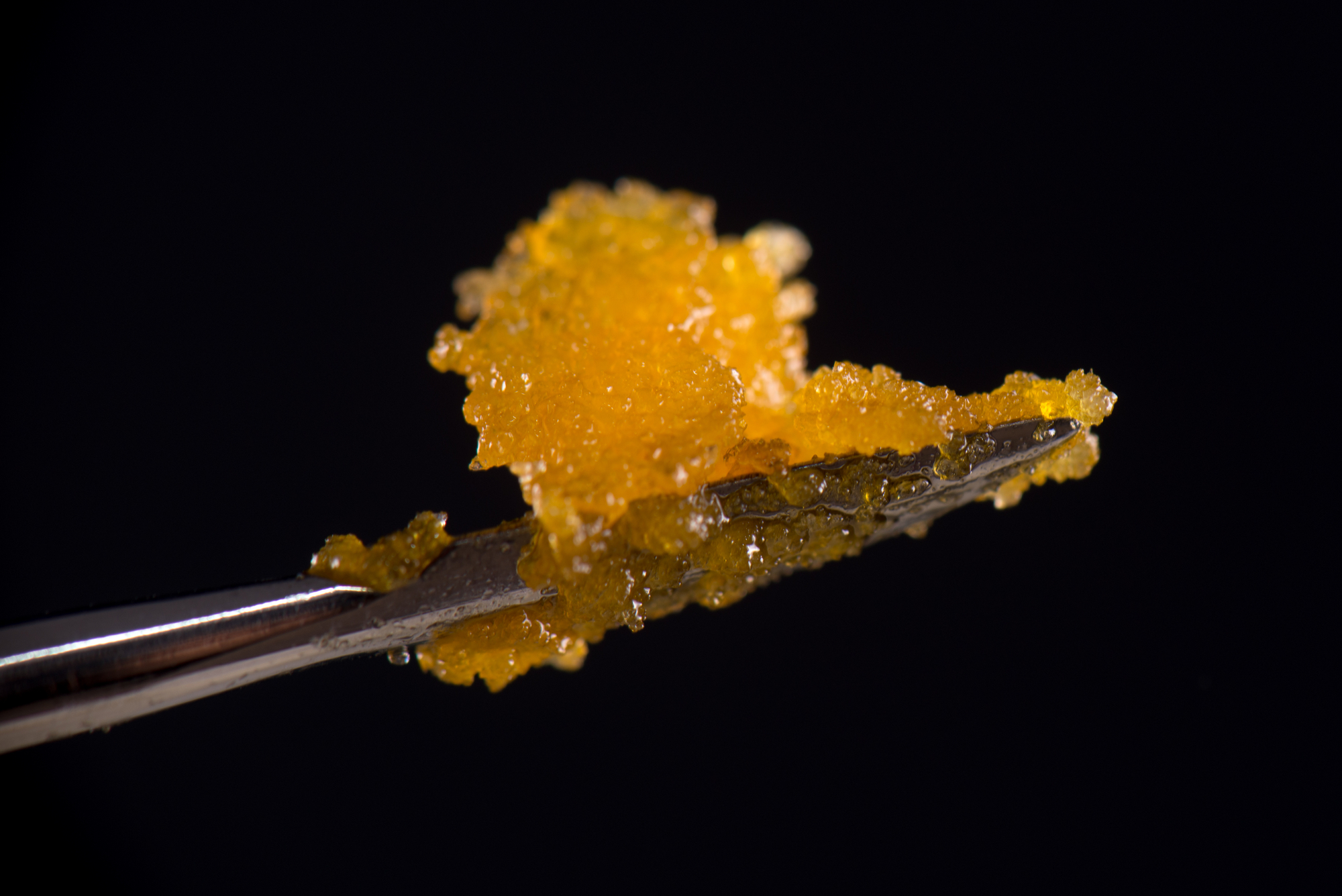 Sugar wax, wax concentrate, concentrated forms of cannabis