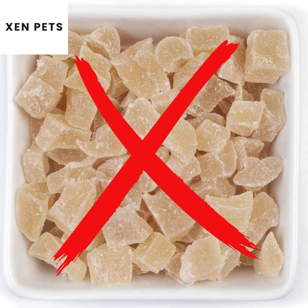 Can Dogs Eat Ginger Candy