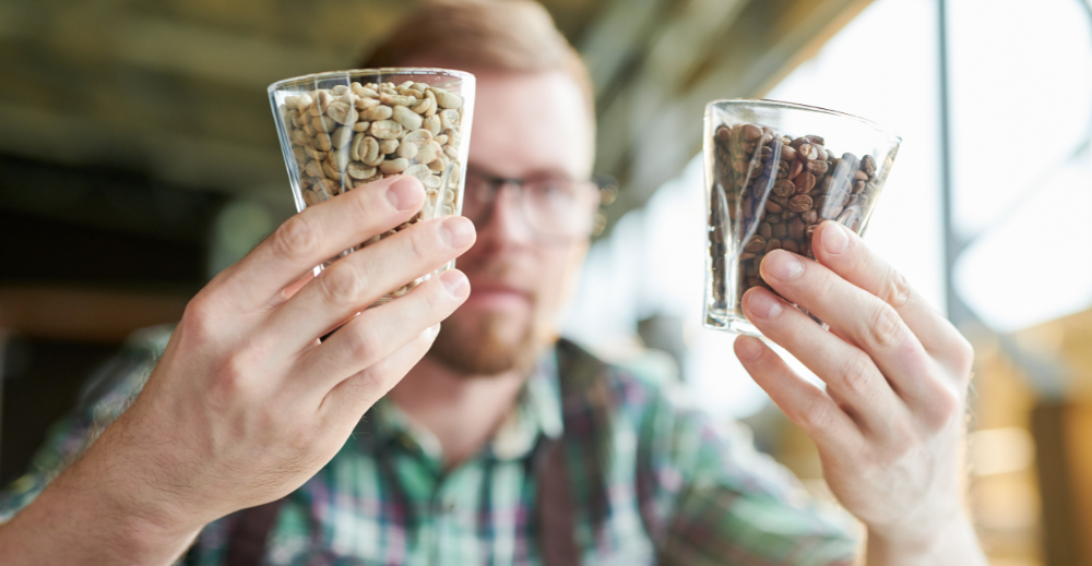 man examining coffee beans