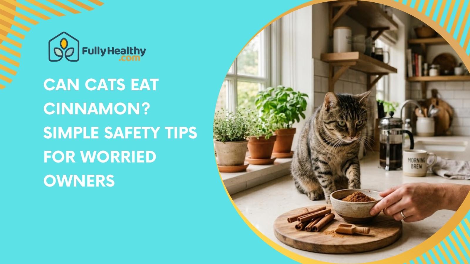 Can Cats Eat Cinnamon? Simple Safety Tips For Worried Owners
