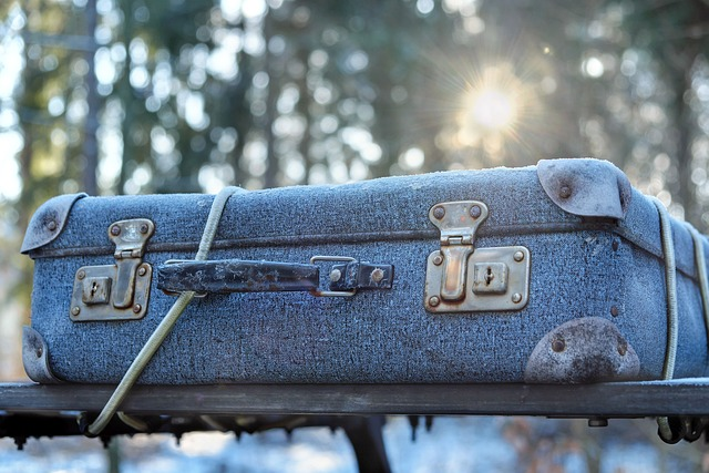 luggage, frost, travel