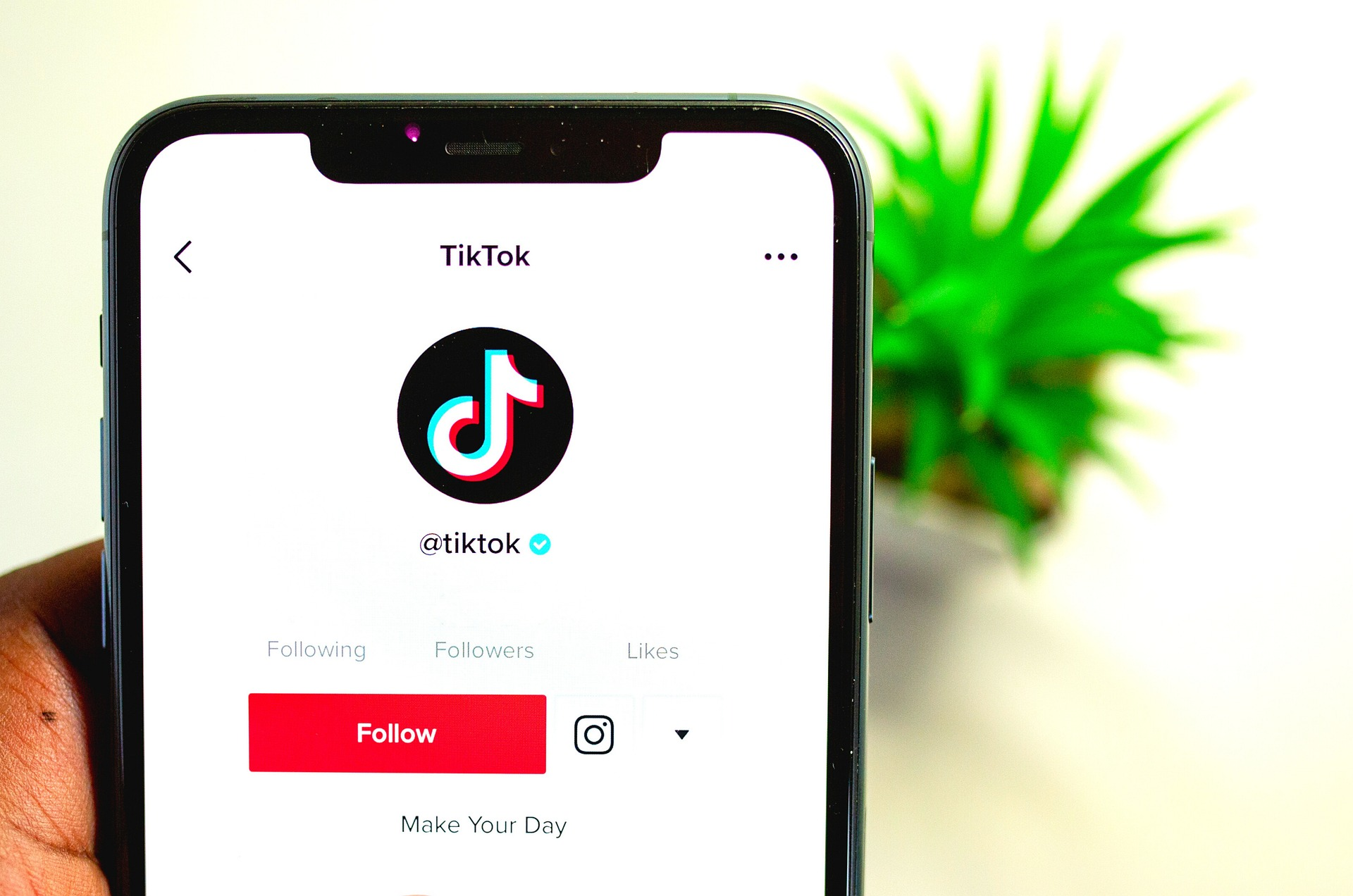 TikTok Search Ads Toggle