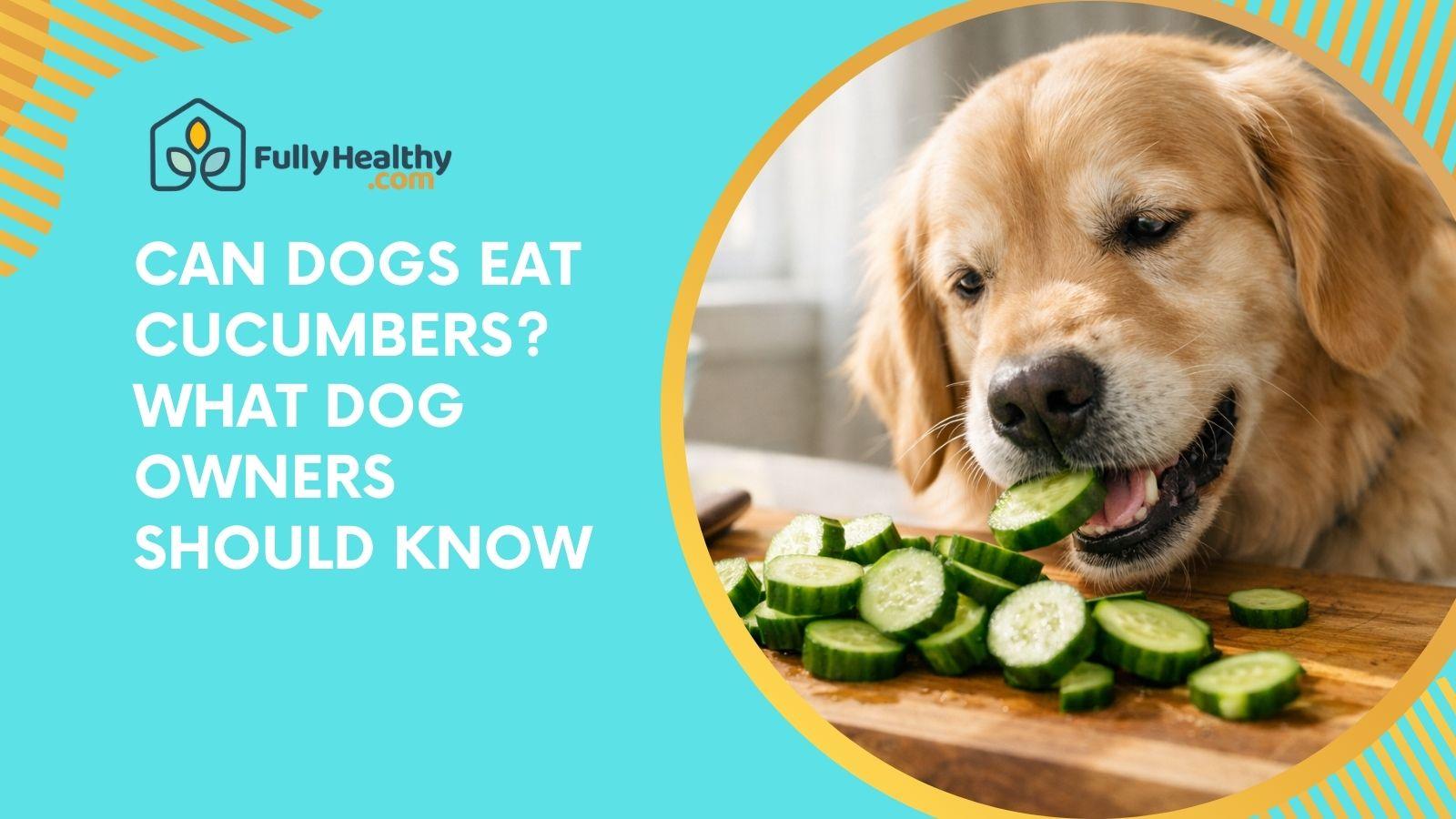 Can Dogs Eat Cucumbers? What Dog Owners Should Know