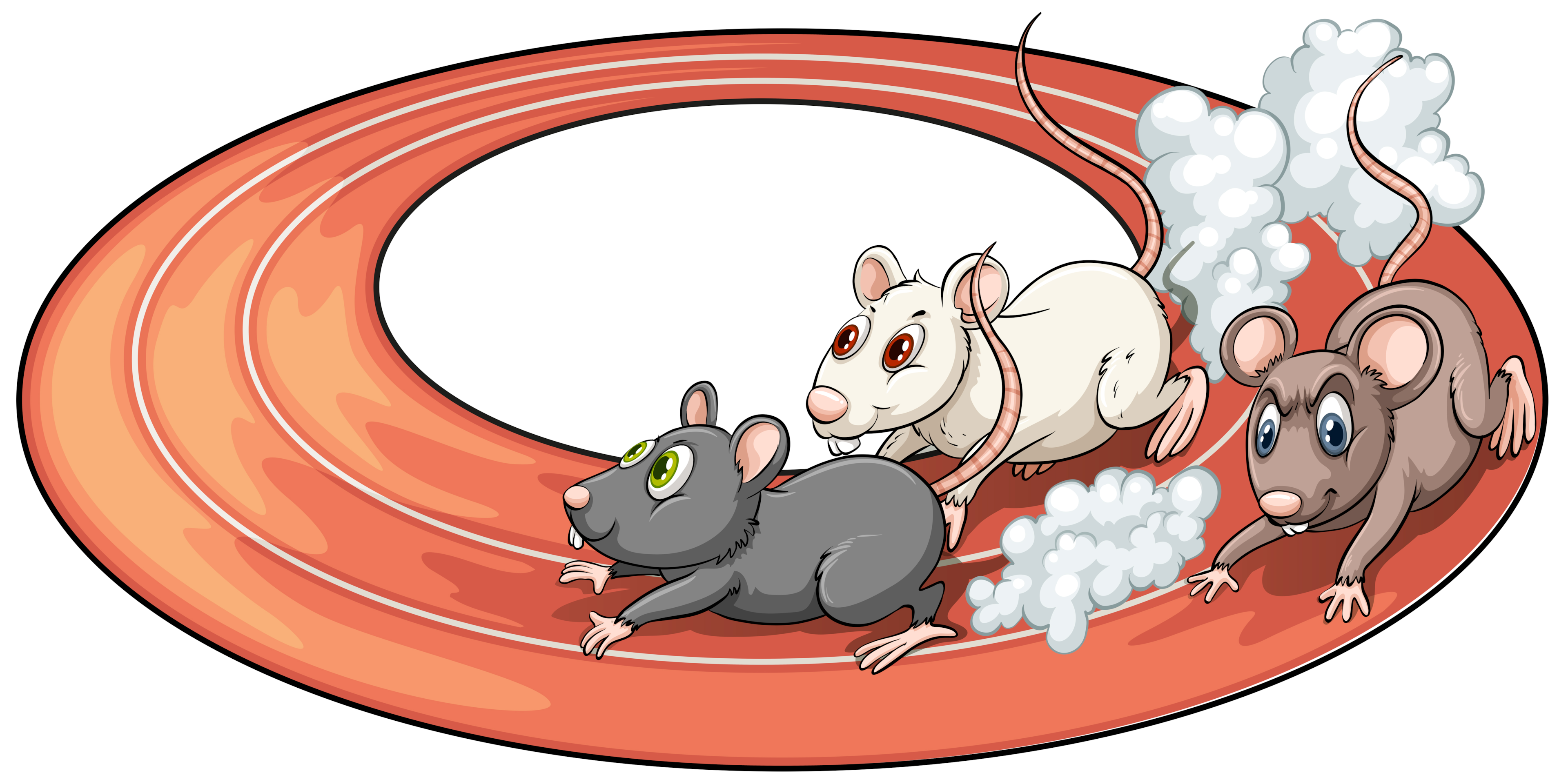 Ratten laufen im Hamsterrad