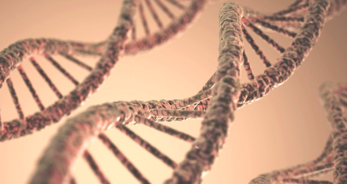 Surrogate mothers do not transfer and genetic material to the baby born through surrogacy. 