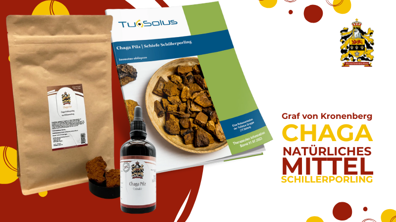 Verschiedene Chaga Produkte von GvK, darunter Extrakt und Pulver. Diese enthalten Inhaltsstoffe des Chaga-Pilzes (Inonotus obliquus) und sind bekannt für ihre Anwendung in der Volksmedizin sowie als Nahrungsergänzungsmittel.