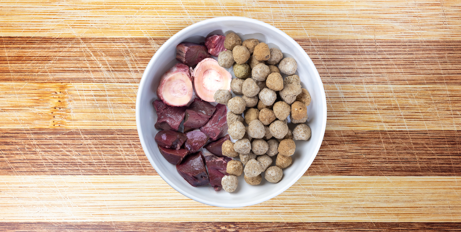 A dog eating a customized BARF diet meal